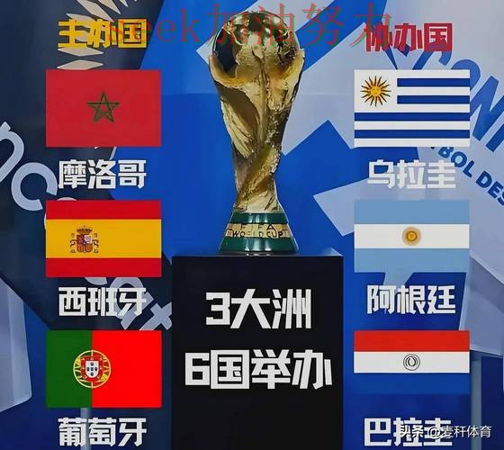 世界杯官方信息背景下的世界杯投注平台合集推荐与高清直播直播解析